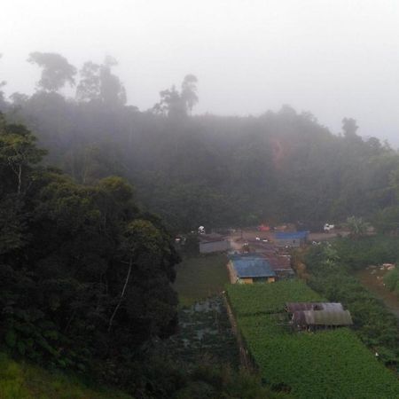 Kampung Kuala Terla The Pines Hotel מראה חיצוני תמונה