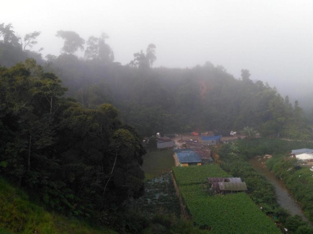 Kampung Kuala Terla The Pines Hotel מראה חיצוני תמונה