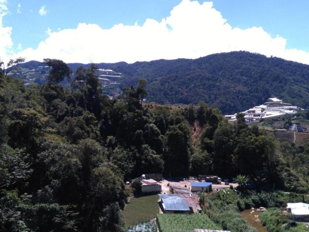 Kampung Kuala Terla The Pines Hotel מראה חיצוני תמונה
